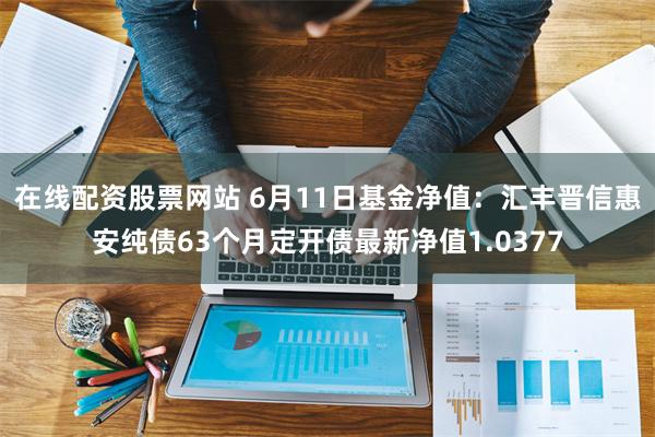 在线配资股票网站 6月11日基金净值：汇丰晋信惠安纯债63个月定开债最新净值1.0377