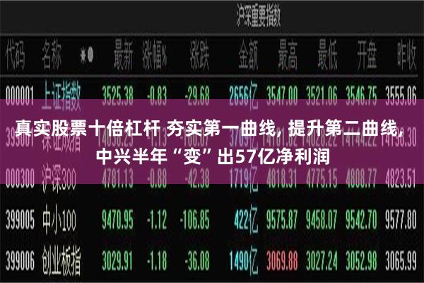 真实股票十倍杠杆 夯实第一曲线, 提升第二曲线, 中兴半年“变”出57亿净利润